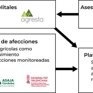 180730112526_esquema-proyecto